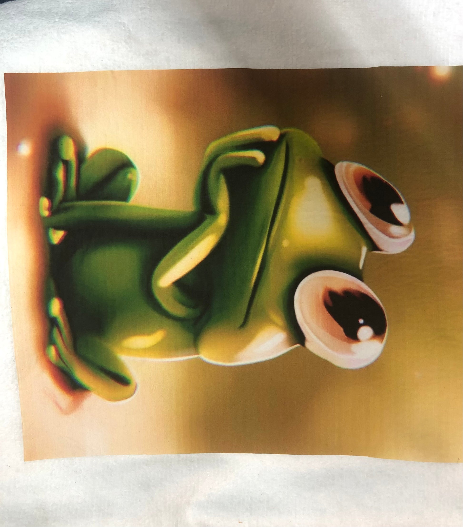 Cute Frog microfiber towel